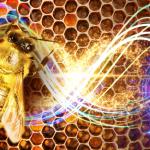 A Sweet Honeybee Activation of Your Energy Centers: Move Through Yourself as a Figure 8